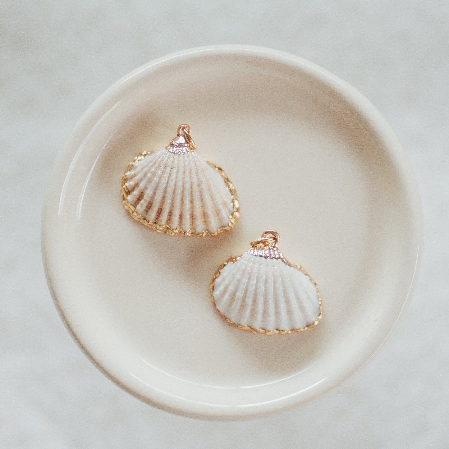 Seashell Charms