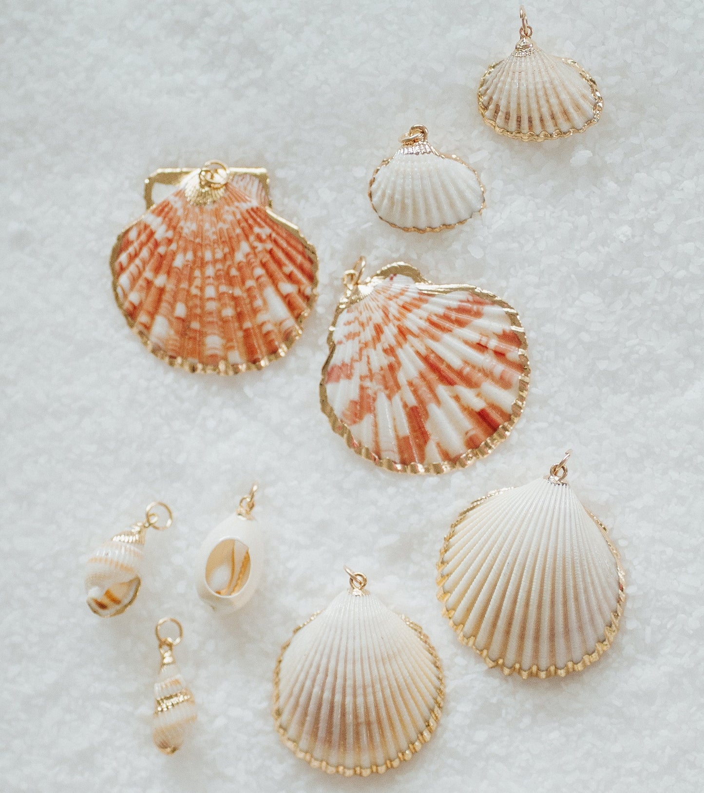Seashell Charms