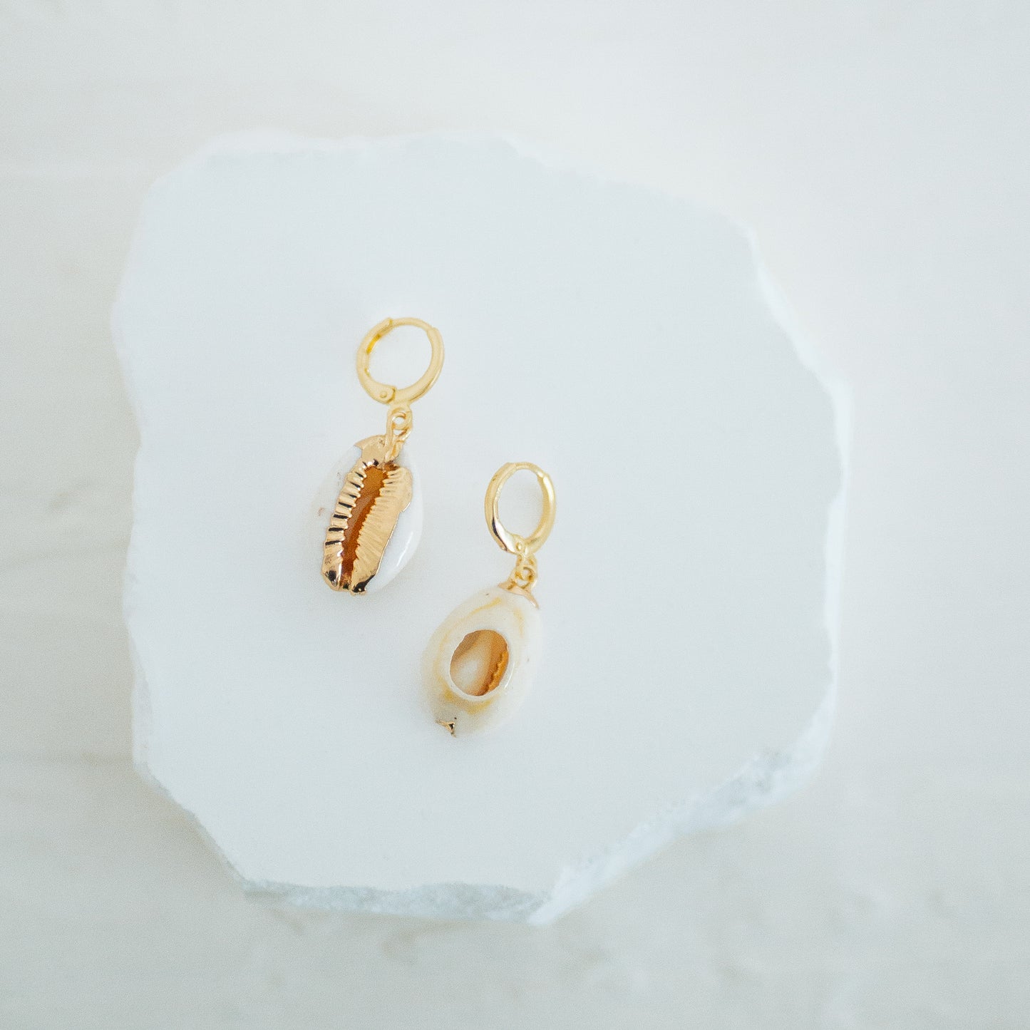 Cowrie Shell Earring