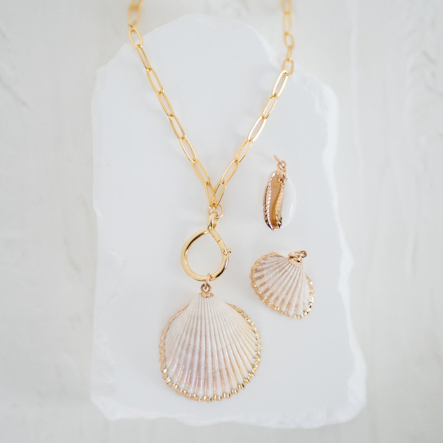 Seashell Charms