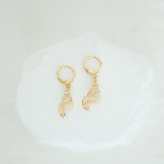 Spiral Shell Earring