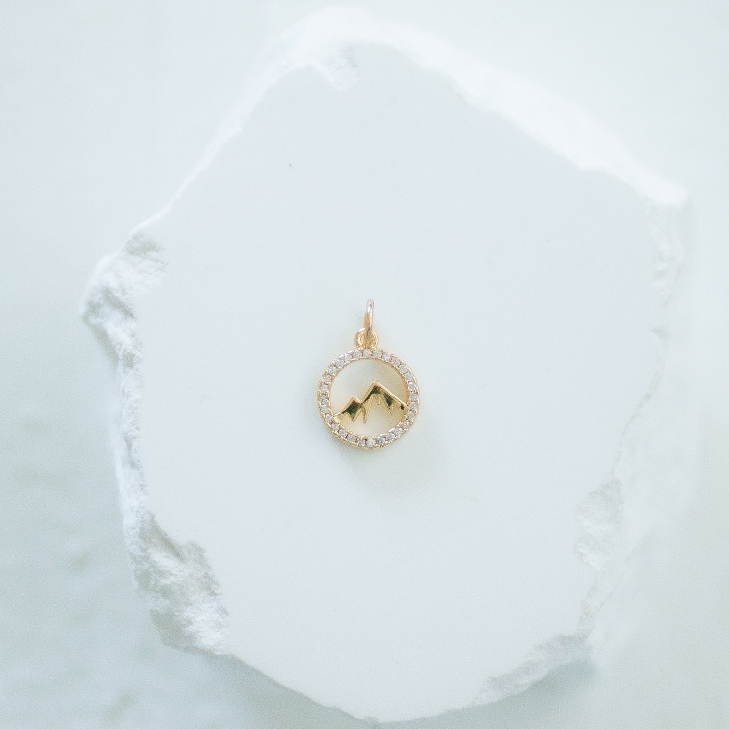 Ski Charms