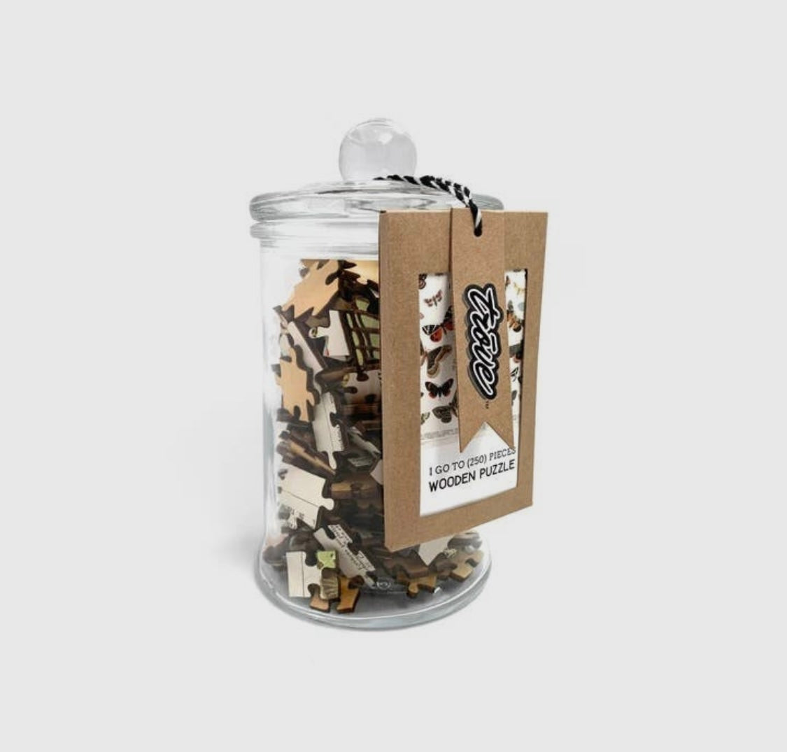 Wooden Puzzle in Jar