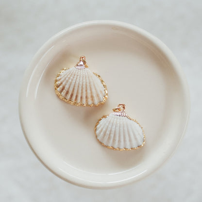 Seashell Charms