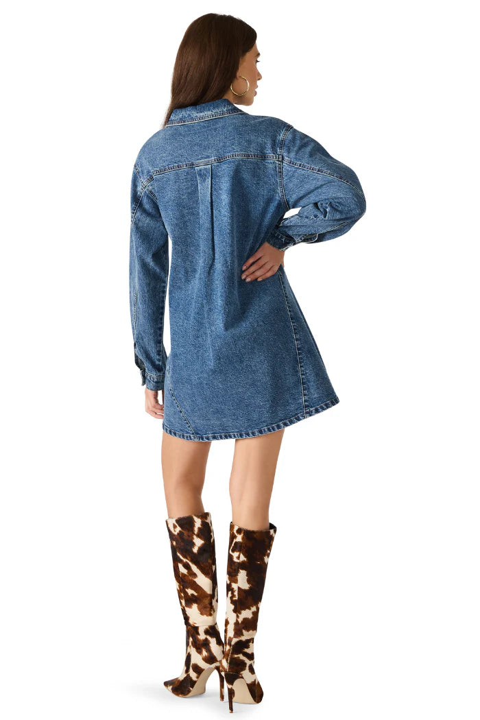 Edith Denim Dress