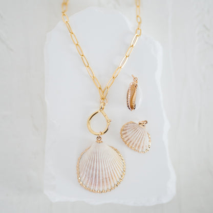 Seashell Charms