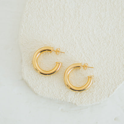 Daily Hoops Small