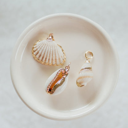 Seashell Charms